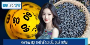 Review Tổng Hợp Các Thông Tin Về Soi Cầu Quả Trám