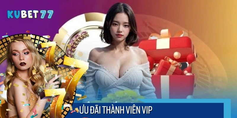 Ưu Đãi Thành Viên VIP Kubet77- Tri Ân Bet Thủ Trung Thành
